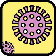 Image of a virus