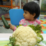 Little Dalrling Childcare learning about vegetables